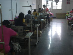 金華市婺城區(qū)麗華日用品廠 專(zhuān)注品質(zhì)，服務(wù)生活的個(gè)體經(jīng)營(yíng)典范